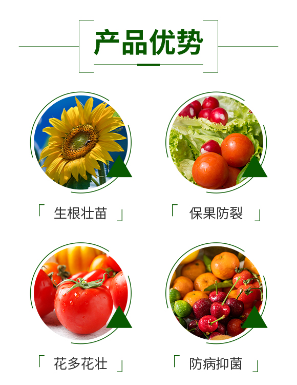 ɽ�|��������Ƽ����޹�˾_03