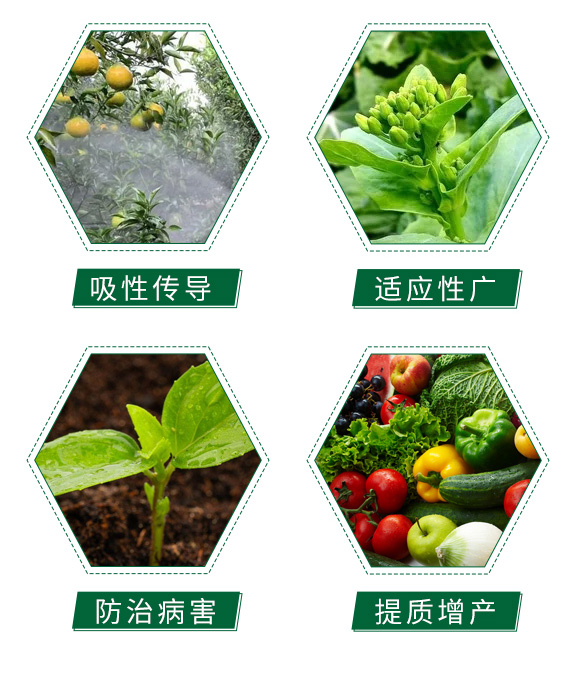 ����������-�ډѴT�S_05