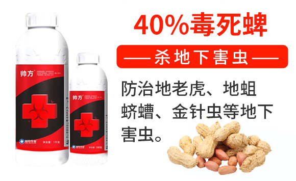 ����-��̖�r�I(y��)_02