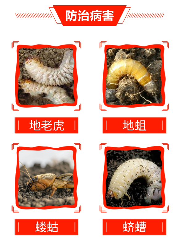 ����-��̖�r�I(y��)_04