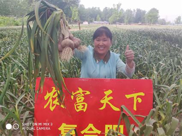 小麥玉米專(zhuān)用高氮復(fù)合肥料26-11-11-農(nóng)富天下6