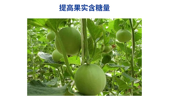 �������������0-400-450-�Θ�(l��)��-���˺�_08