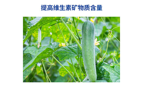 �������������0-400-450-�Θ�(l��)��-���˺�_09