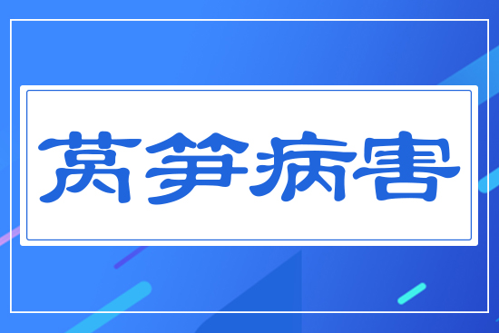 ���n�S����