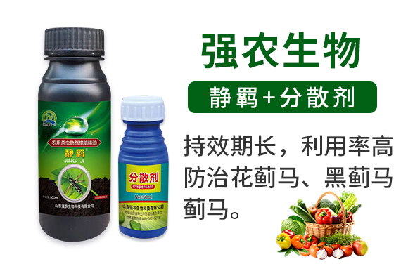 �o�b+��ɢ��-��(qi��ng)�r(n��ng)����_02