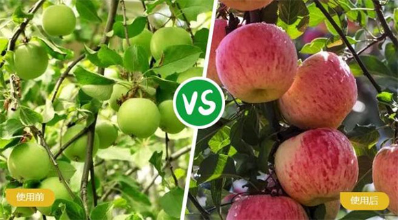 ���ь��ô���Ԫ��ˮ�ܷ���19-19-19+TE-�r(n��ng)������6