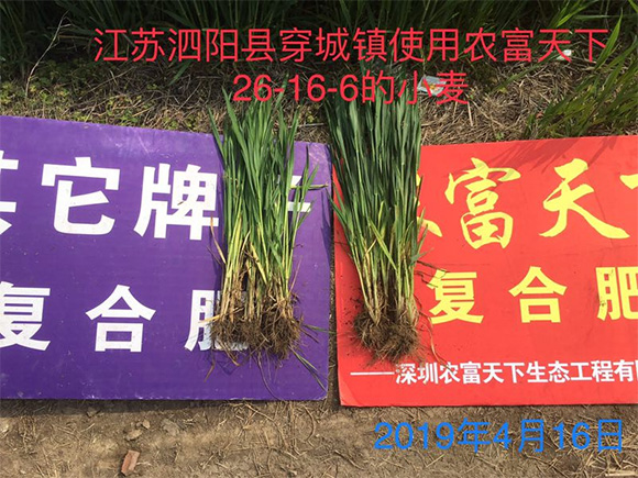 ��������������͏ͺϷ���17-17-17-�r(n��ng)������5