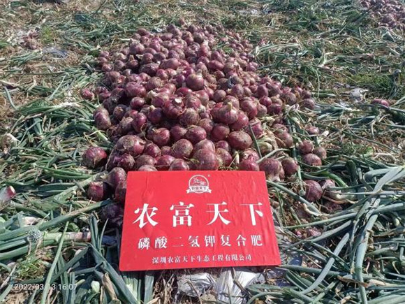 �p���ȫˮ�܏�(f��)�Ϸ���20-20-5-�r(n��ng)������5