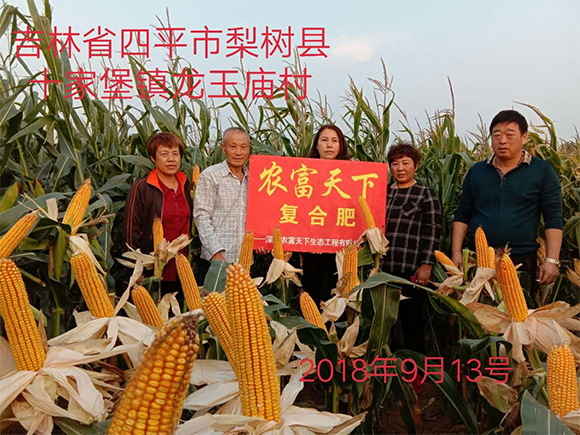 玉米專用磷酸二氫鉀型全水溶復合肥料28-6-6-馬大哈-農(nóng)富天下5