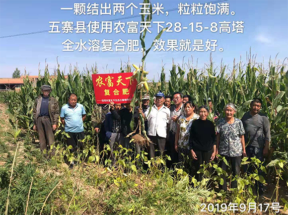 玉米專用磷酸二氫鉀型全水溶復合肥料28-6-6-馬大哈-農(nóng)富天下6