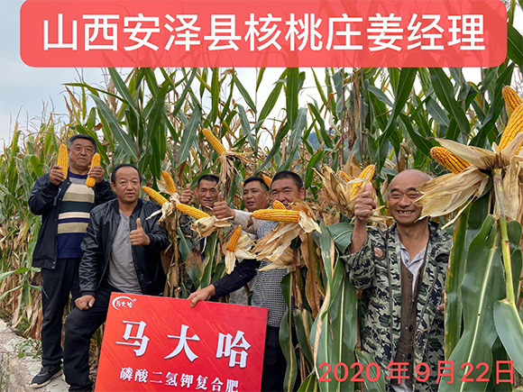 ���׌������������͏ͺϷ���26-11-11-�R���-�r(n��ng)������4