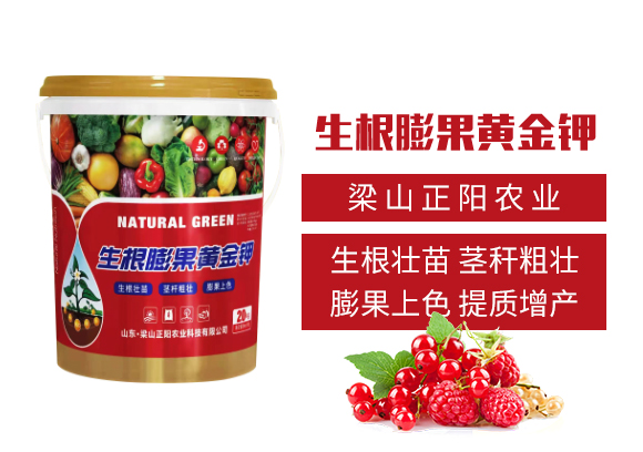 ��ɽ����r�I(y��)�Ƽ����޹�˾_02