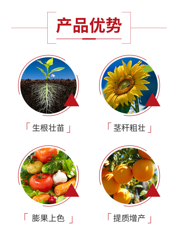 ��ɽ����r�I(y��)�Ƽ����޹�˾_03