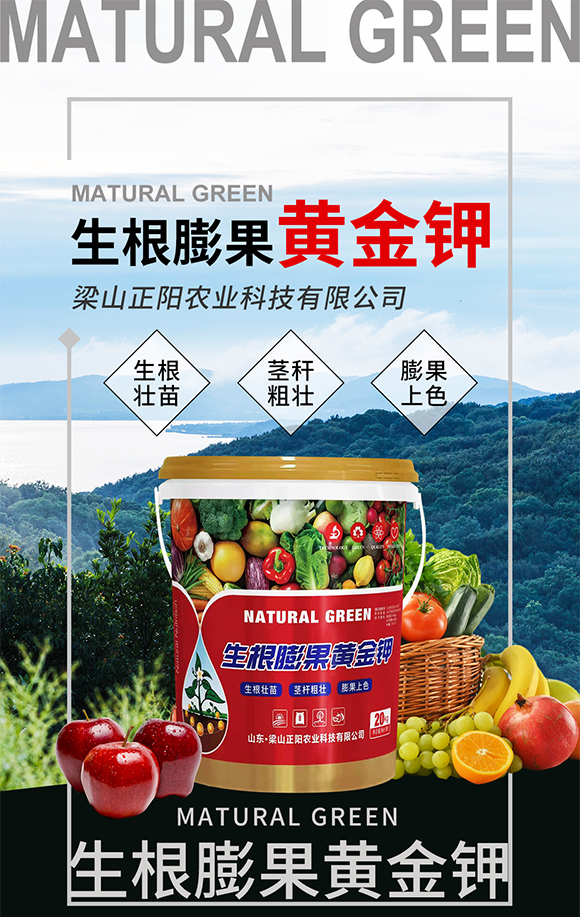 ��ɽ����r�I(y��)�Ƽ����޹�˾_01