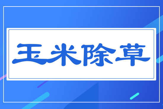 ���׳���