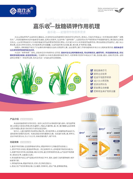 ���˺̆��(y��)��������⛣�-210x285mm-����