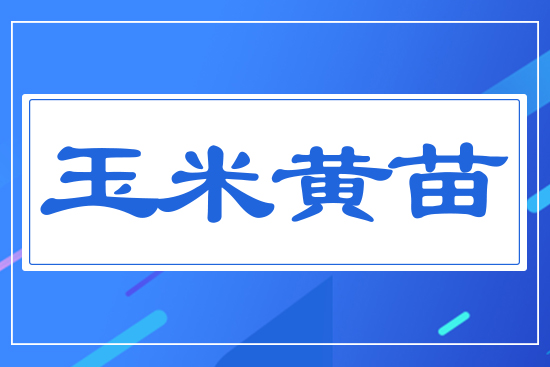 �����S��