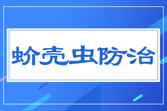 򻚤�x(ch��ng)