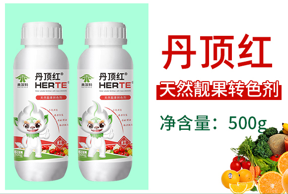 ��피t-�̠���_03