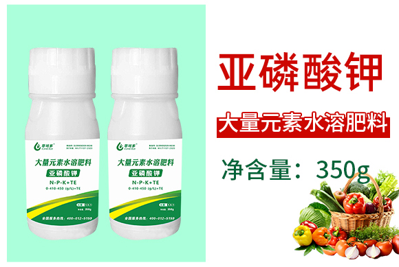 �������-�Ϳɶ�_04