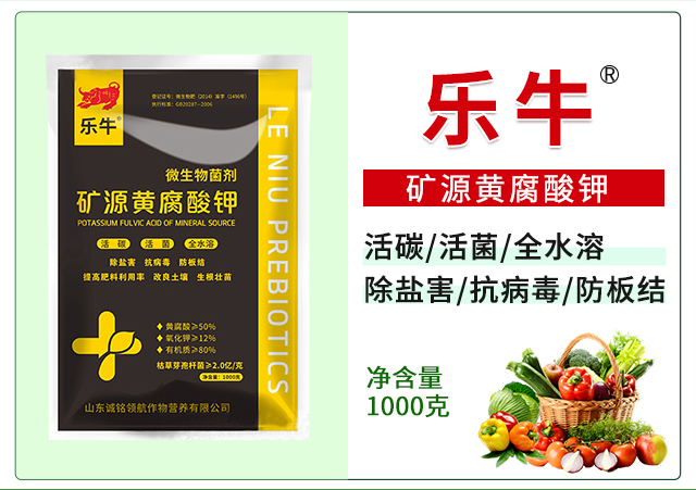 �VԴ�S�����-�\(ch��ng)��I(l��ng)��_03