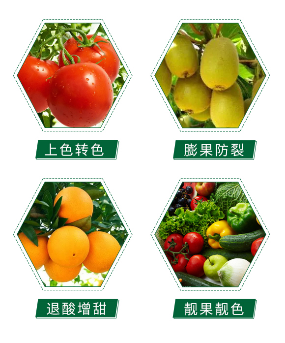 ��피t-�̠���_05