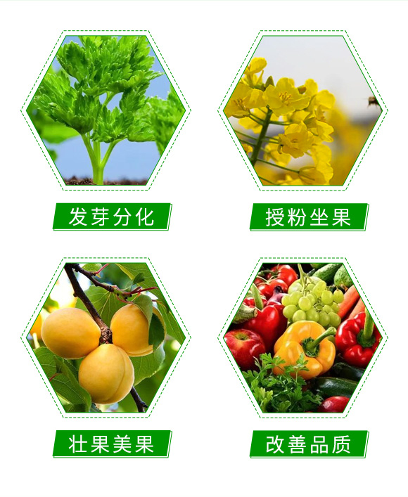 ܷ��-�̠���_05