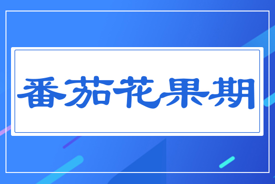 ���ѻ�����