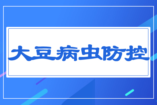 �󶹲��x����