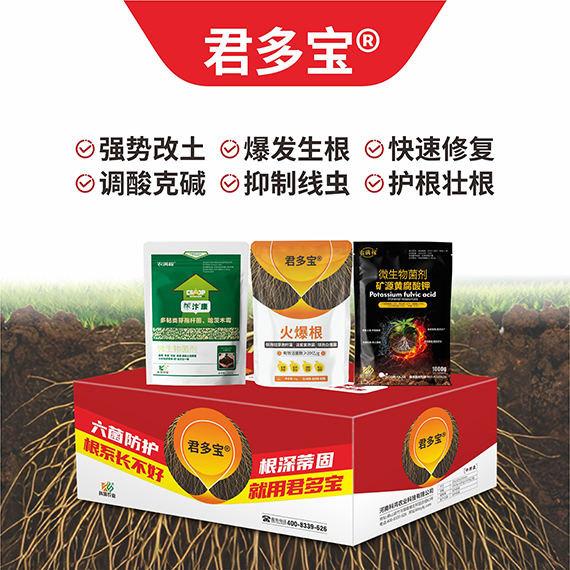 QQ�DƬ20260430094751