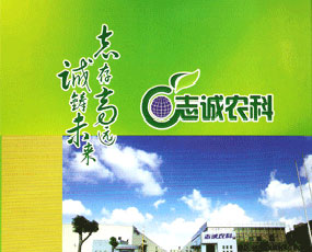 �ӱ�־�\���ﻯ�����޹�˾