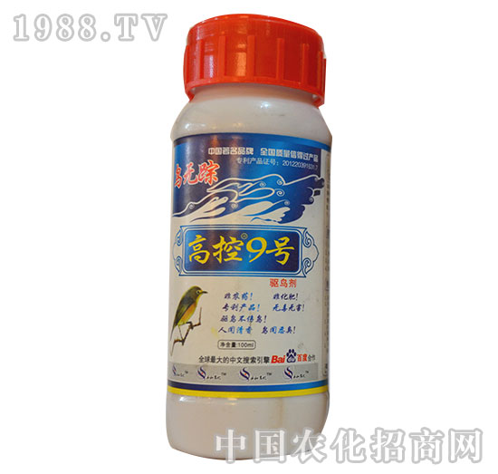 �߿�9̖-�����r(n��ng)��