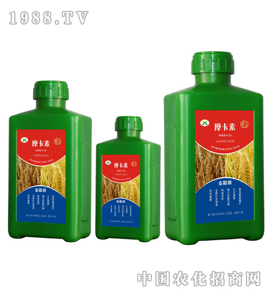 ���Z���ð���������Һ�ķ�-Ħ����-��о���H