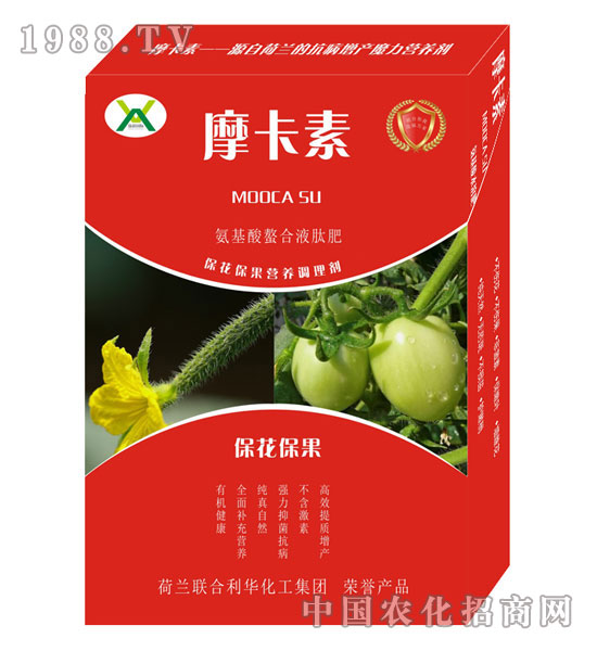 ������������������Һ�ķ�-Ħ����-��о���H