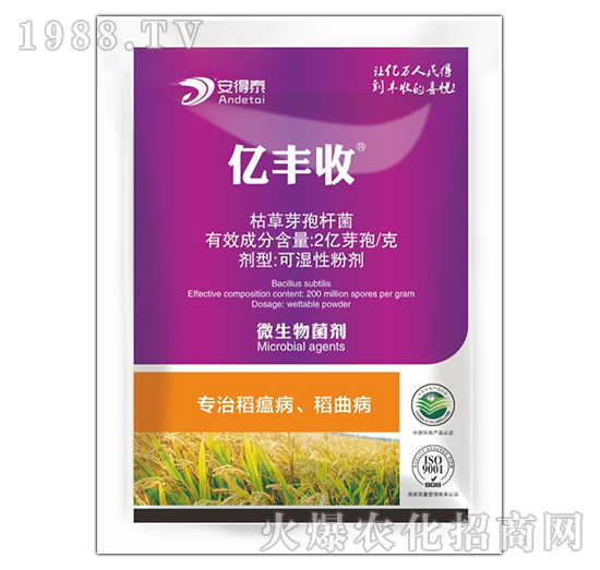 ��(zhu��n)�ε�����������-�|�S��-����̩