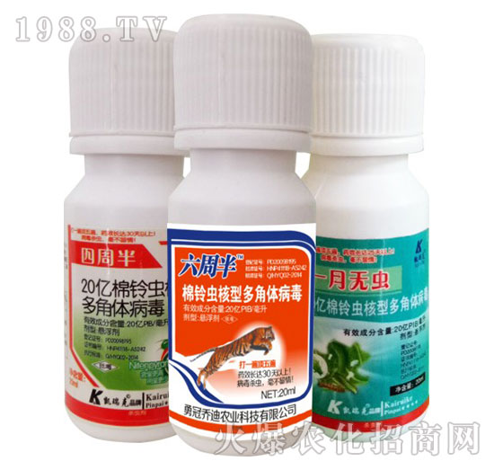 20�|����x���Ͷ���w����-���ܰ�+���ܰ�+һ�o�x-�P���