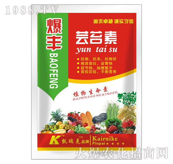 ���S�|̦��-�P���