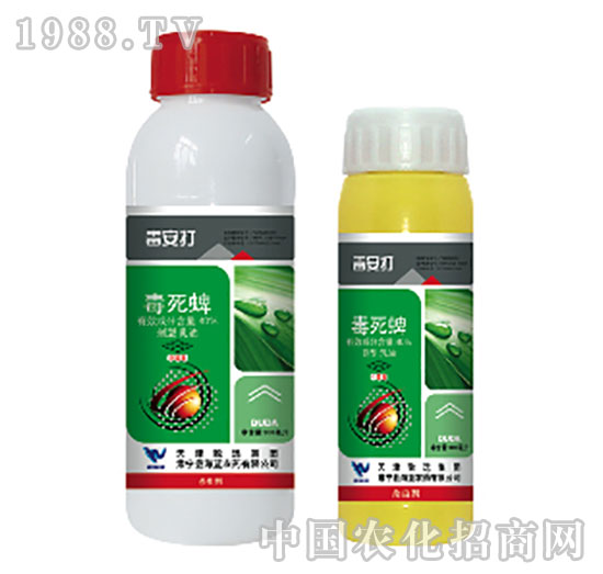 40%������-������-���{