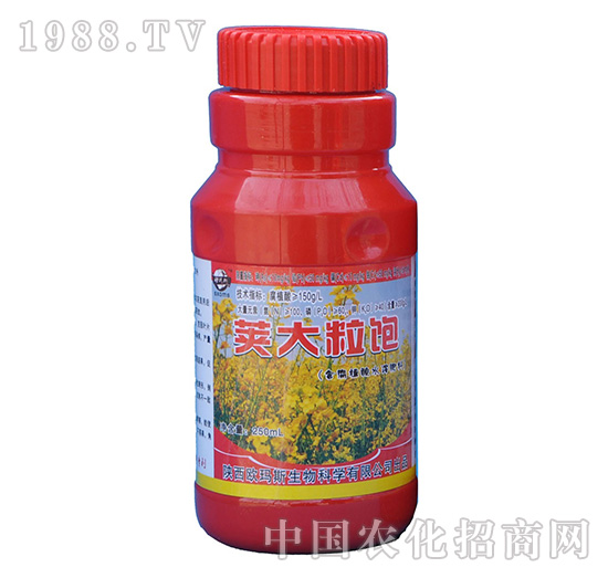 �v�����ˮ�ܷ���-�W��˹