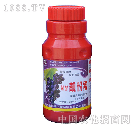 �����n����-�W��˹