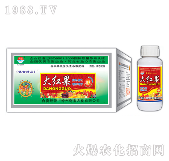 200g大紅果-奇寶農化