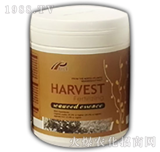 �������Ｄ����-��ɪ��