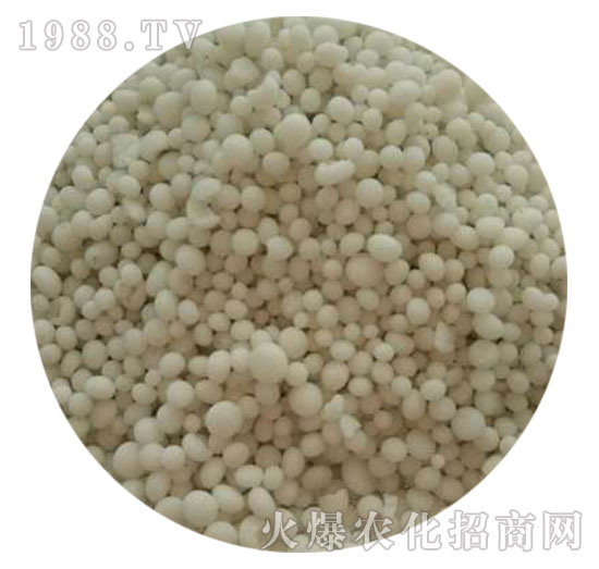 ������⛏�(f��)�Ϸ���25-10-10-���������w����-ֲ������