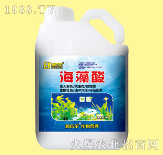 ������5kg-嫘���