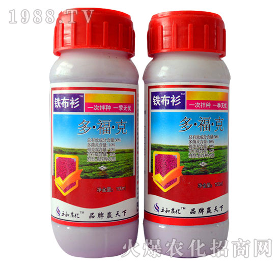 30%�ร��-�F����-�읙����