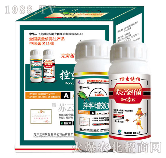 ���x�^�����b-�읙����