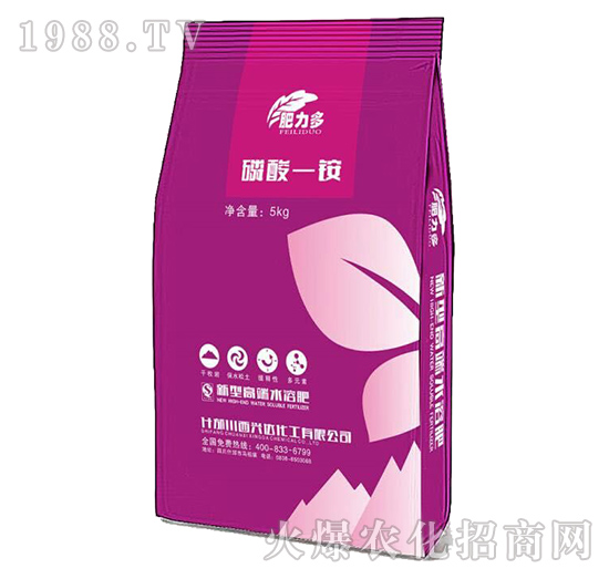 ����һ�@-������-�d�_(d��)����