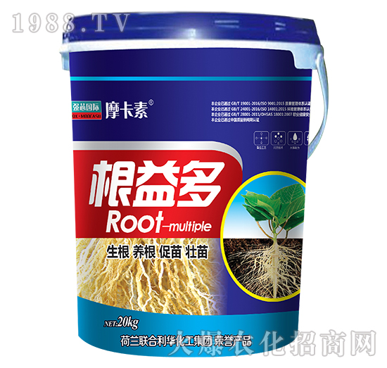 根益多-摩卡素-強(qiáng)芯國(guó)際