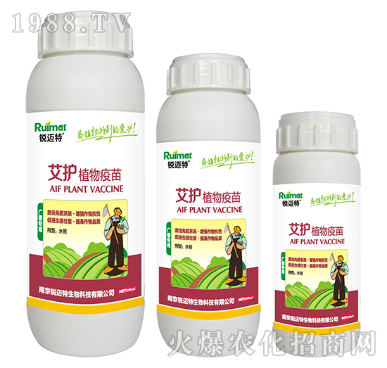 ���oֲ�����磨�V�V�ͣ�-�J�~��