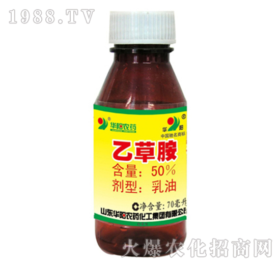 50%�Ҳݰ�-�G��